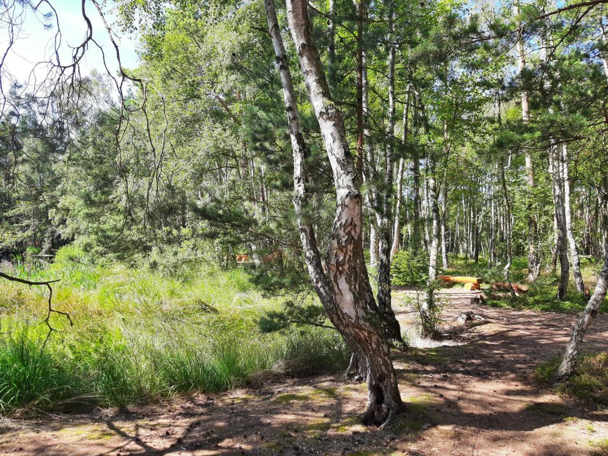 Ferienwohnung Fledermaus Gelbensande ภายนอก รูปภาพ